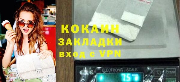 Альфа ПВП Верея