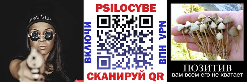 кракен зеркало Александровское Галлюциногенные грибы ЛСД